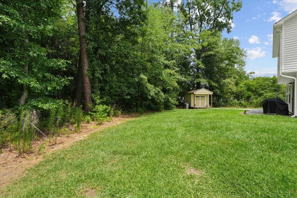Private wooded backyard at 4225 Meadowview Lane